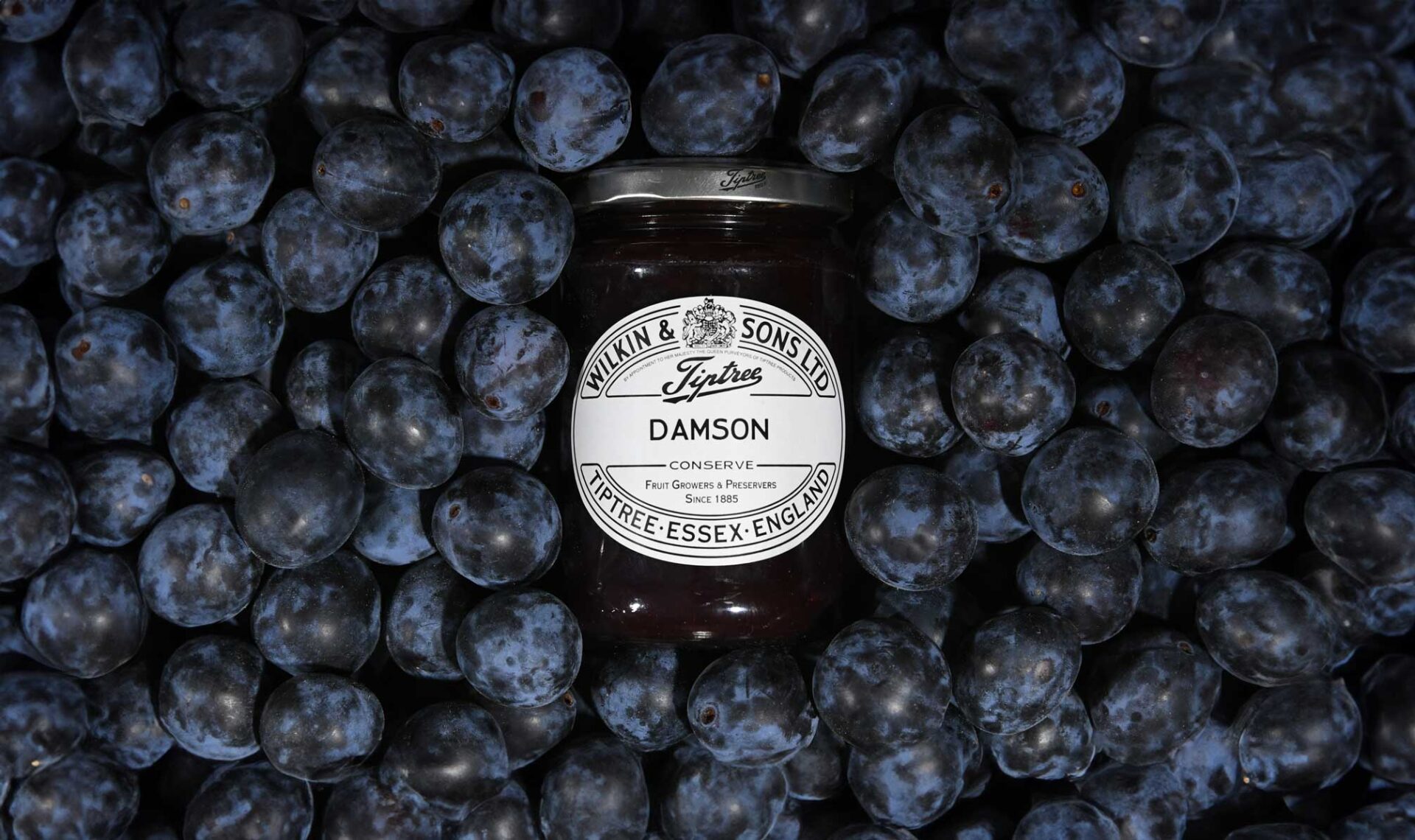 Damson-Conserve-with-Fruit2